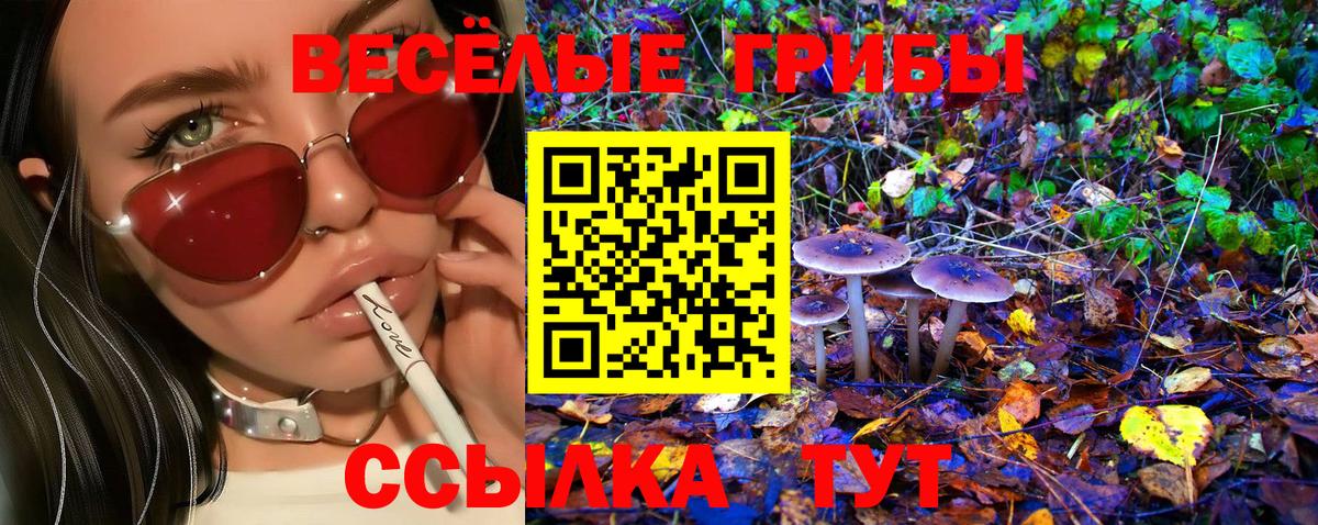 Псилоцибиновые грибы мицелий Муром
