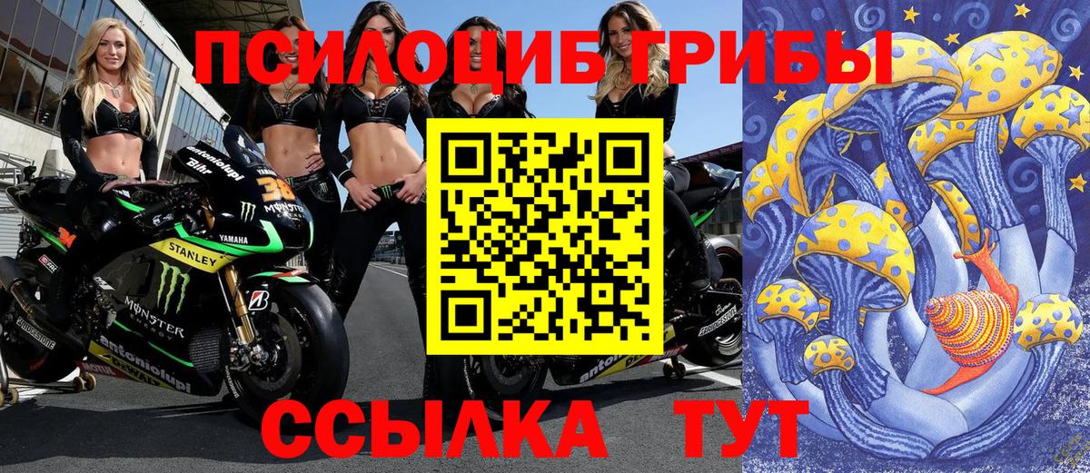Галлюциногенные грибы мухоморы  купить наркоту  Муром  Псилоцибиновые грибы мицелий  Вход с VPN 